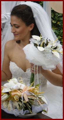 IMGP0078x