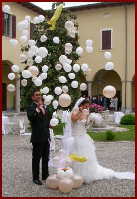 DSCN1884x