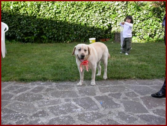 DSCN1948