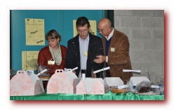 Clicca per ingrandire la foto
