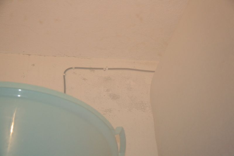 Clicca sul nome della foto  per scaricare (formato compresso)