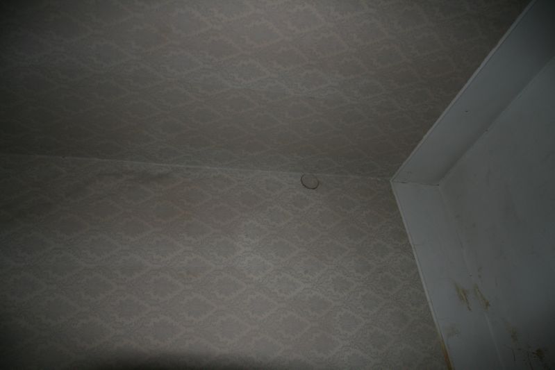 Clicca sul nome della foto  per scaricare (formato compresso)