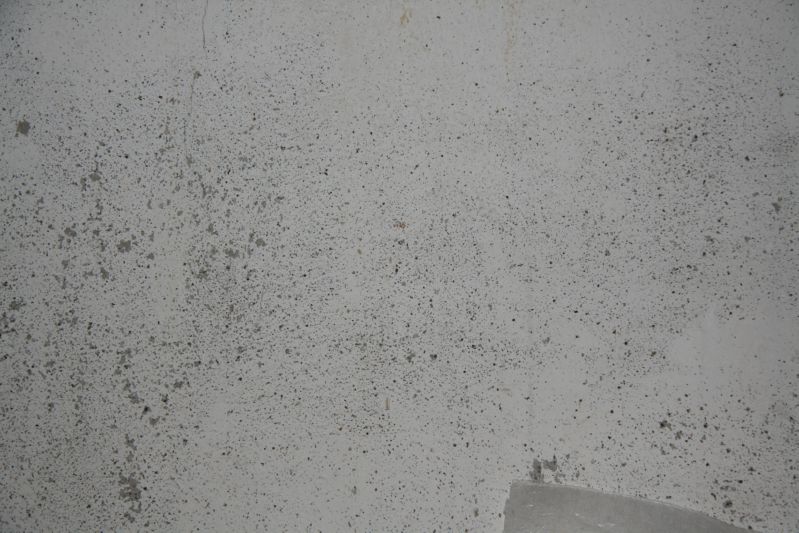 Clicca sul nome della foto  per scaricare (formato compresso)