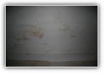 Clicca sulla foto per ingrandirla o sul nome per scaricarla