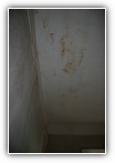 Clicca sulla foto per ingrandirla o sul nome per scaricarla