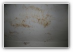Clicca sulla foto per ingrandirla o sul nome per scaricarla