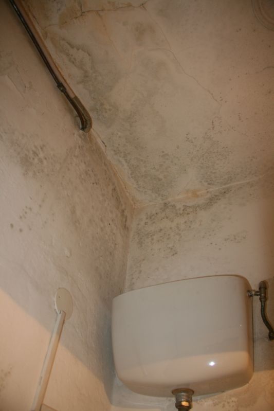 Clicca sul nome della foto  per scaricare (formato compresso)