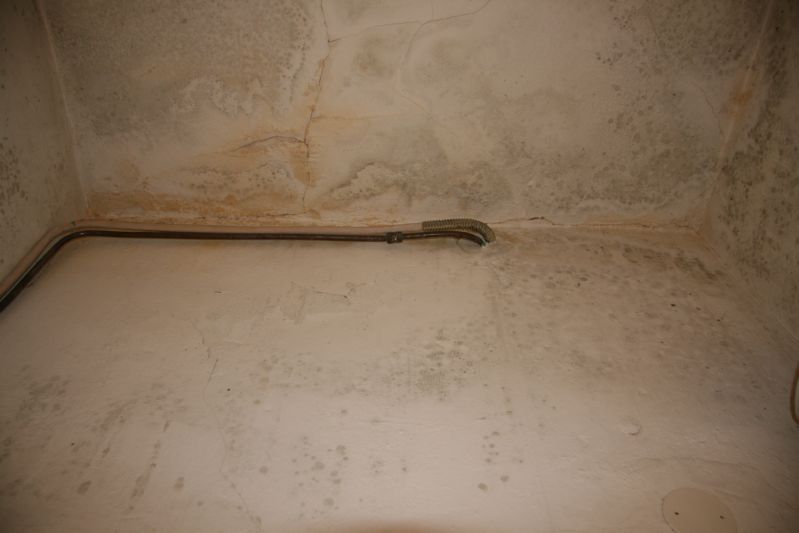 Clicca sul nome della foto  per scaricare (formato compresso)
