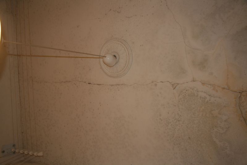 Clicca sul nome della foto  per scaricare (formato compresso)