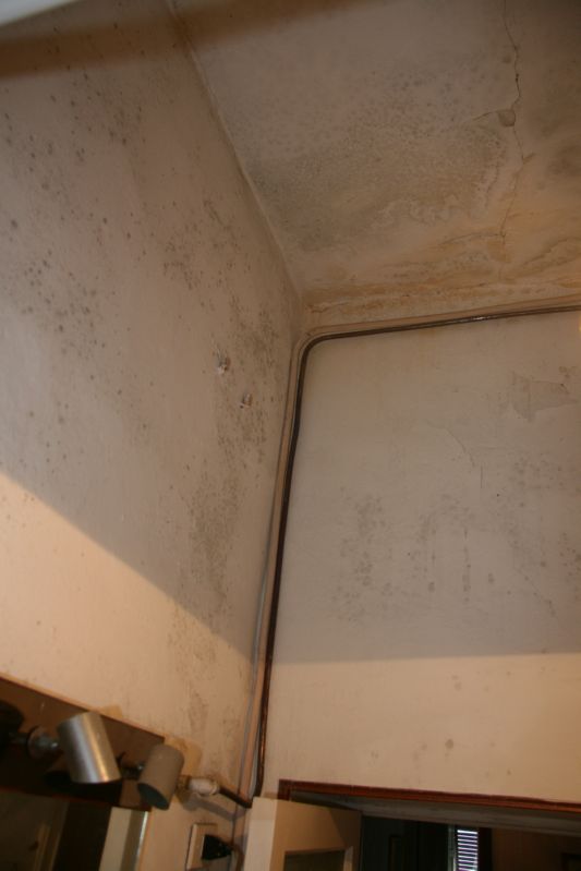 Clicca sul nome della foto  per scaricare (formato compresso)