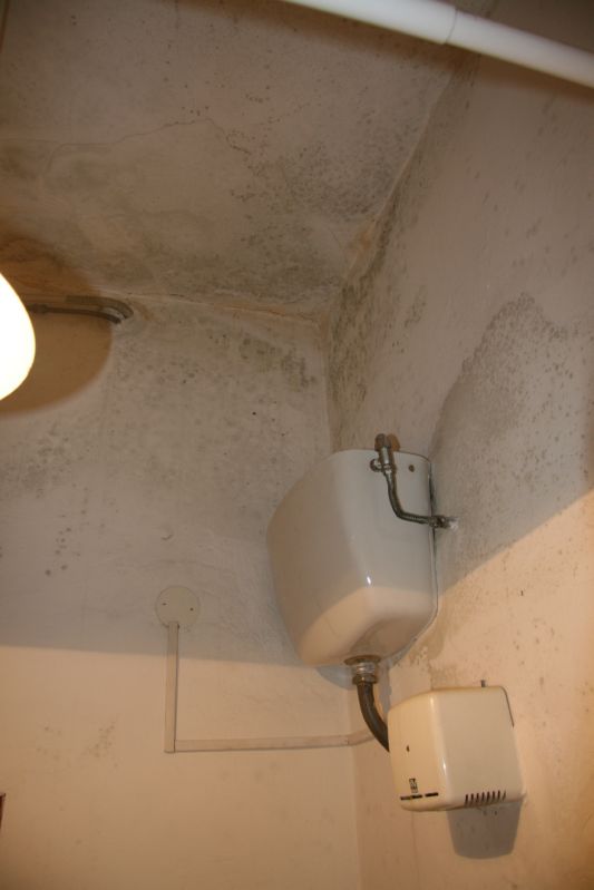 Clicca sul nome della foto  per scaricare (formato compresso)