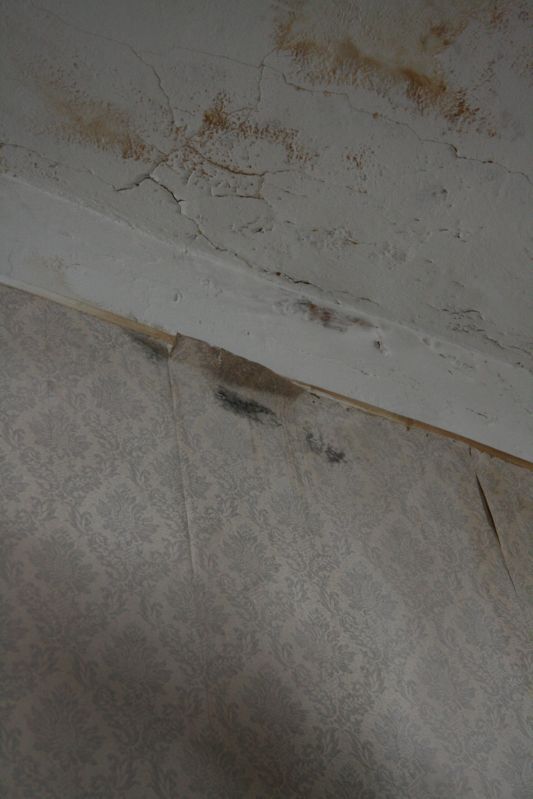 Clicca sul nome della foto  per scaricare (formato compresso)