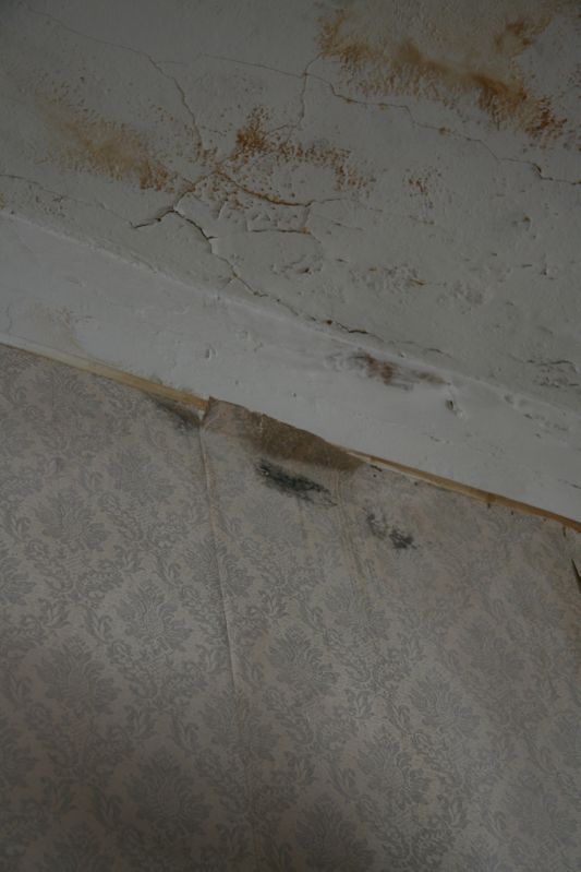 Clicca sul nome della foto  per scaricare (formato compresso)
