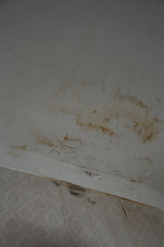 Clicca sul nome della foto  per scaricare (formato compresso)