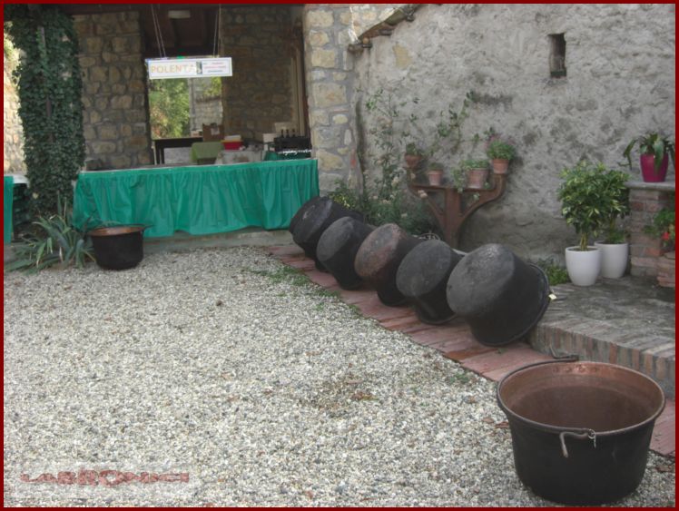 Clicca sul nome per scaricare le foto
